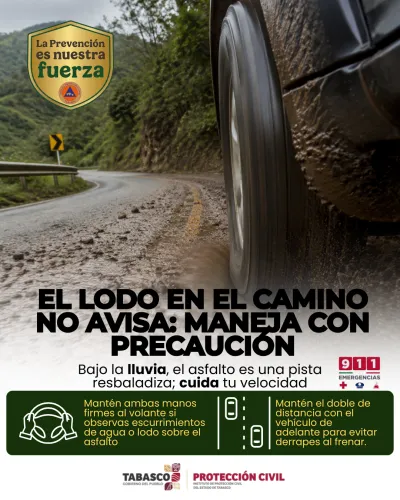 Publicidad — La Verdad del Sureste