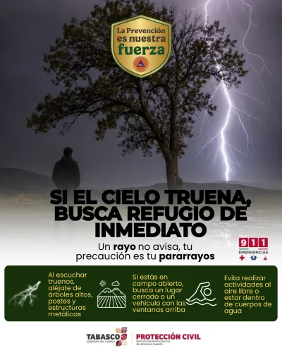 Publicidad — La Verdad del Sureste