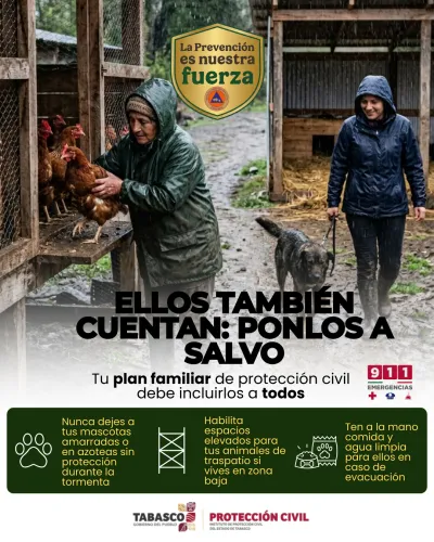 Publicidad — La Verdad del Sureste