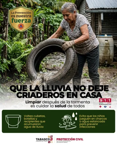 Publicidad — La Verdad del Sureste