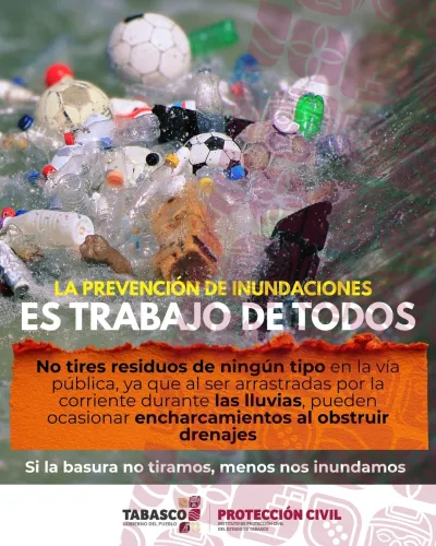 Publicidad — La Verdad del Sureste