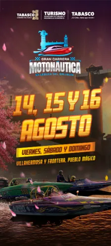 Publicidad — La Verdad del Sureste