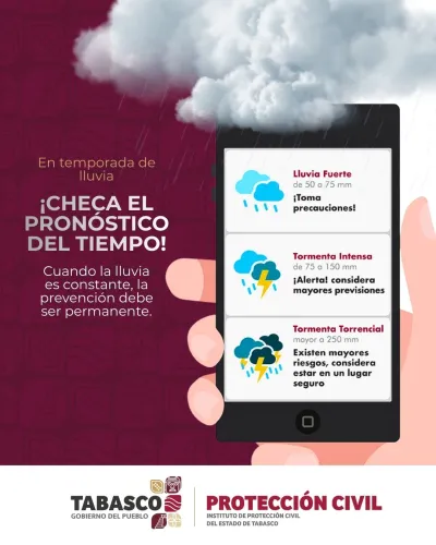Publicidad — La Verdad del Sureste