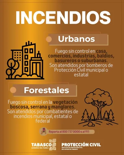 Publicidad — La Verdad del Sureste