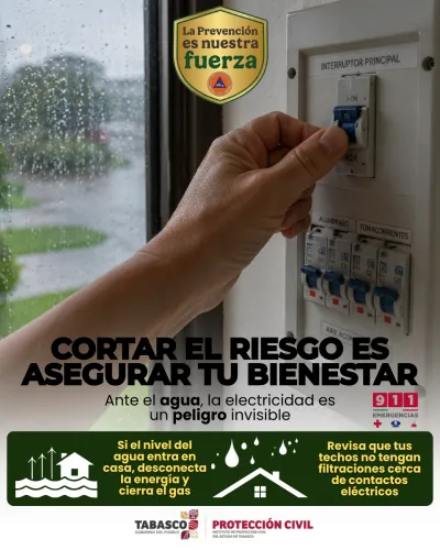 Publicidad — La Verdad del Sureste