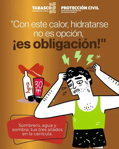Publicidad — La Verdad del Sureste