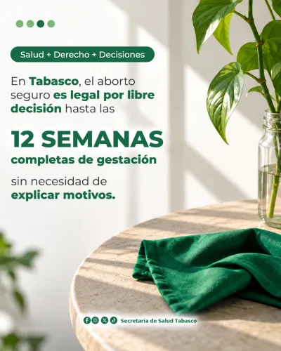 Publicidad — La Verdad del Sureste