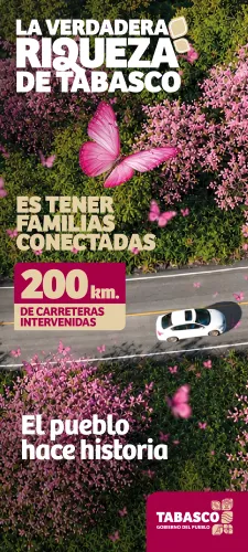 Publicidad — La Verdad del Sureste