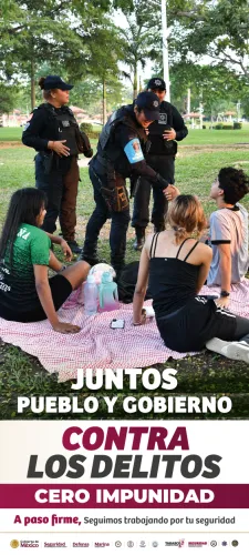 Publicidad — La Verdad del Sureste