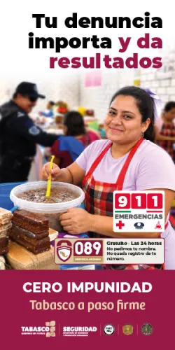 Publicidad — La Verdad del Sureste