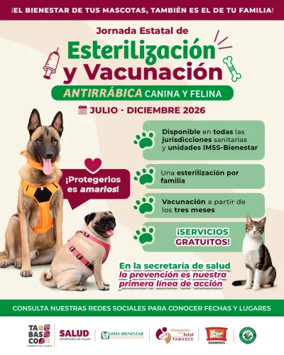 Publicidad — La Verdad del Sureste