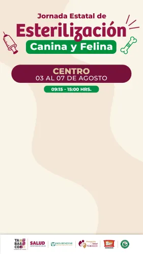 Publicidad — La Verdad del Sureste