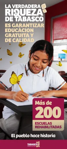 Publicidad — La Verdad del Sureste