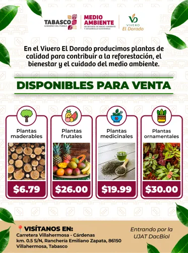 Publicidad — La Verdad del Sureste