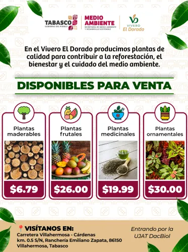 Publicidad — La Verdad del Sureste