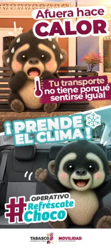 Publicidad — La Verdad del Sureste