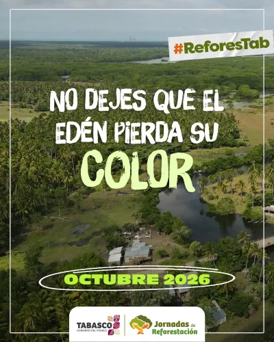 Publicidad — La Verdad del Sureste