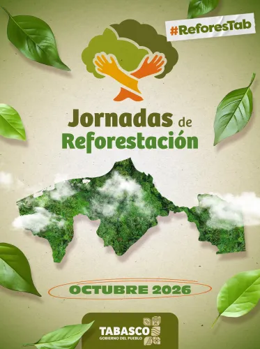 Publicidad — La Verdad del Sureste