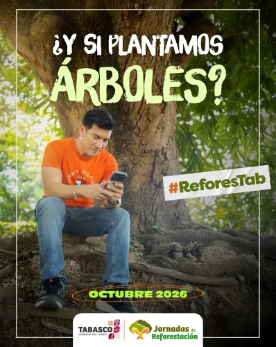 Publicidad — La Verdad del Sureste
