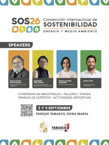 Publicidad — La Verdad del Sureste