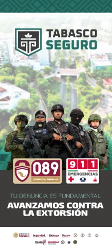 Publicidad — La Verdad del Sureste