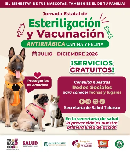 Publicidad — La Verdad del Sureste