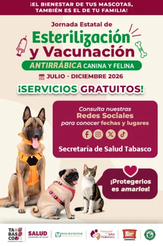 Publicidad — La Verdad del Sureste