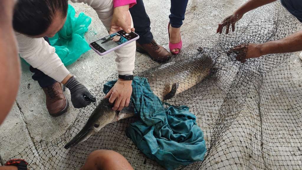 Concurso del Pez Más Grande: Impulso Acuícola 