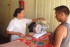 Por el precio del maíz  cierran 5 mil tortillerías