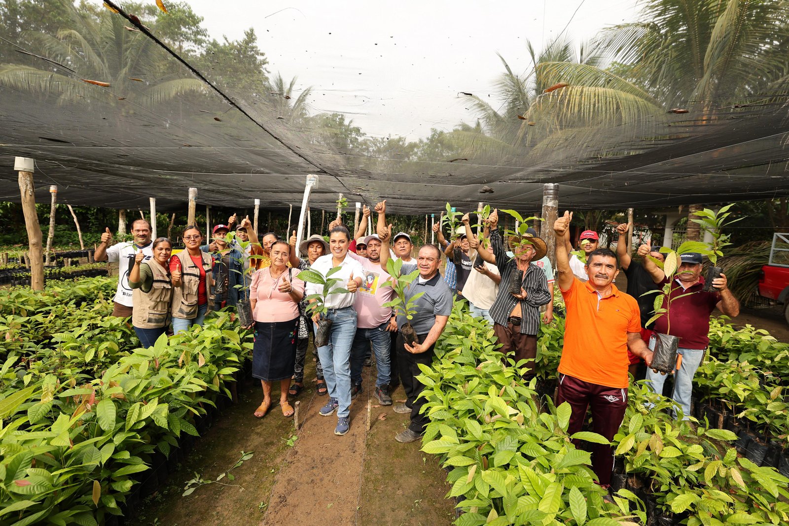 Tabasqueños se alistan para participar en Jornada de Reforestación; inicia entrega de plantas a participantes