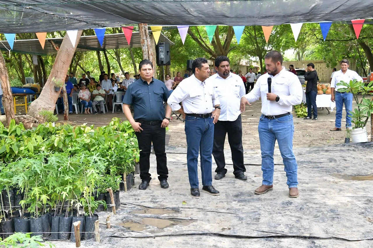 Sembrando Vida suma 19 mil plantas en vivero de Jalpa