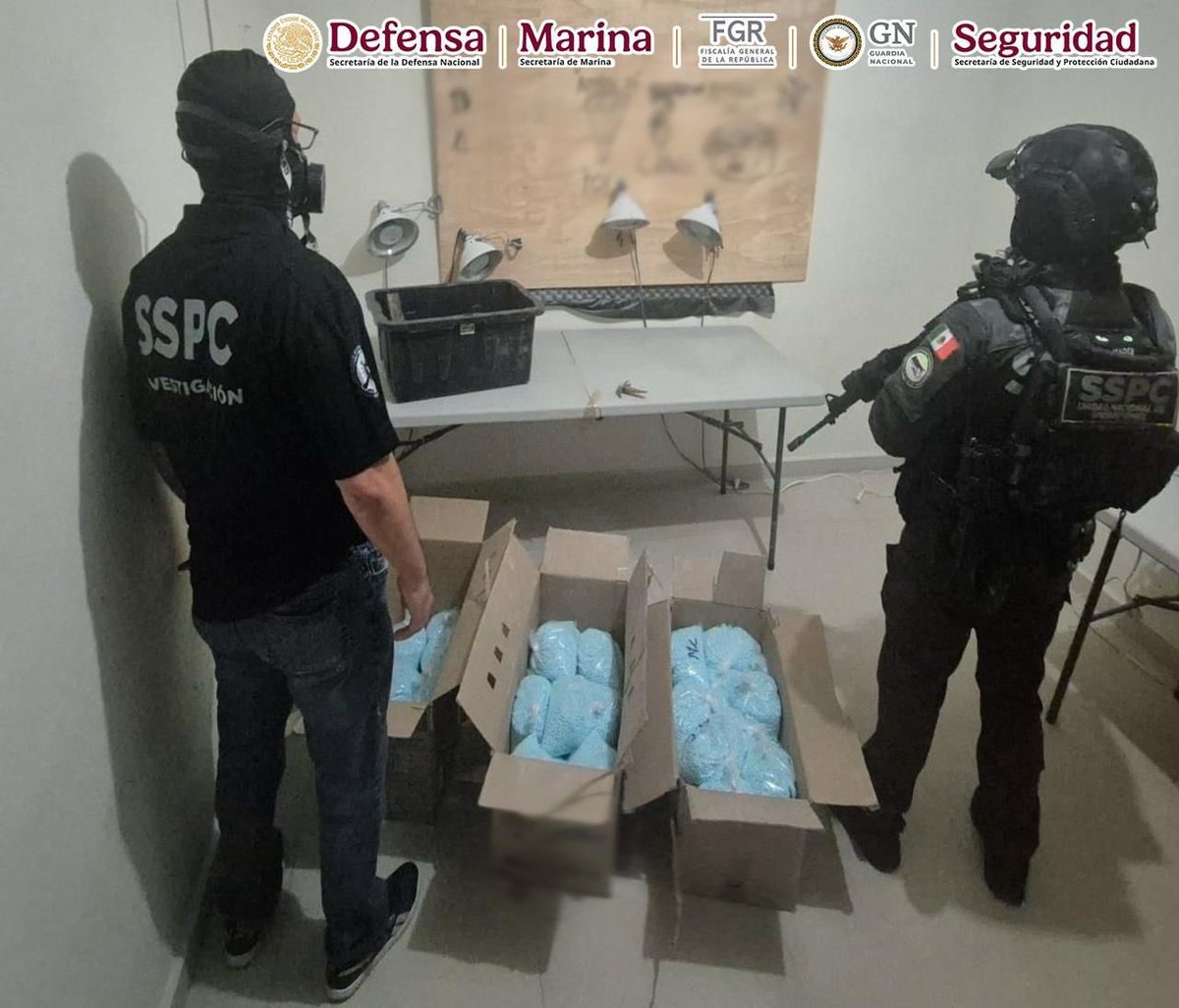 Seguridad reporta decomisos y capturas en 10 estados