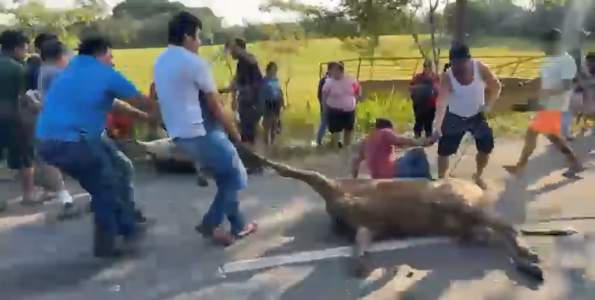 Transportistas de Tabasco exigen cárcel para la rapiña