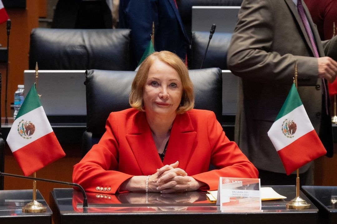 Morena elige a Laura Itzel Castillo presidenta del Senado