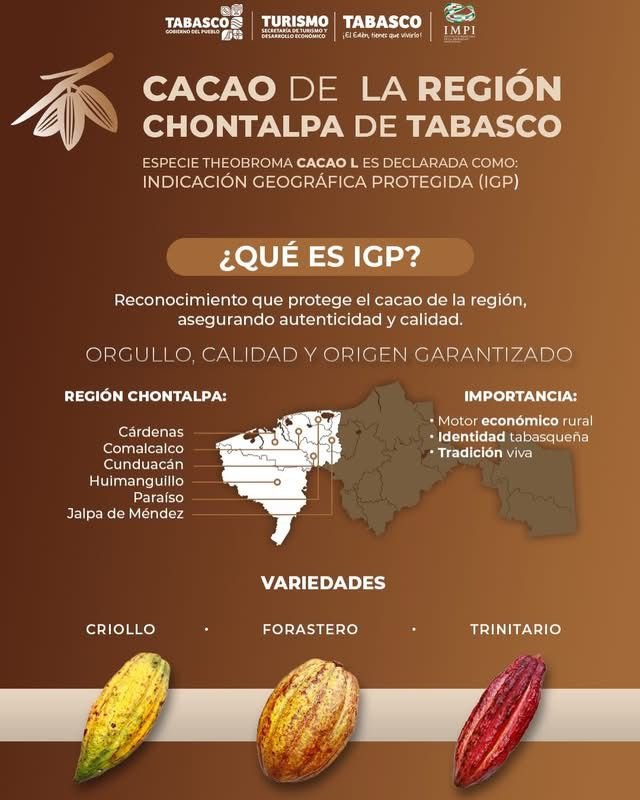 Cacao de la Chontalpa obtiene protección geográfica del IMPI
