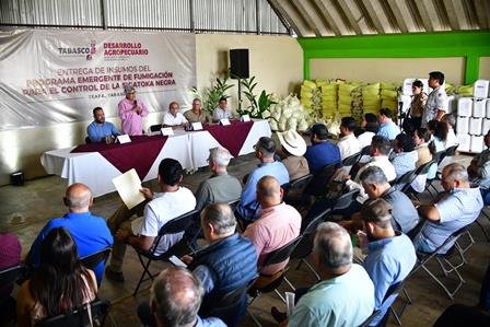 Gobierno del Pueblo apoya al sector platanero