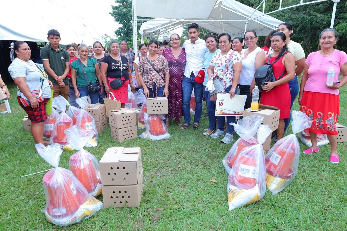 Entregan pollitas ponedoras a 1,250 mujeres en Pajonal Centro