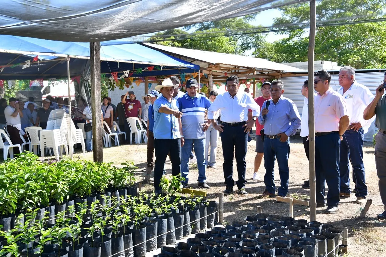 Sembrando Vida atiende a 20 mil campesinos en Tabasco con meta de 30 millones de árboles