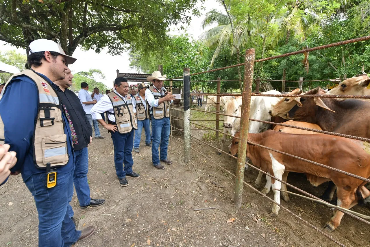 Crédito Ganadero transforma a pequeños productores: May