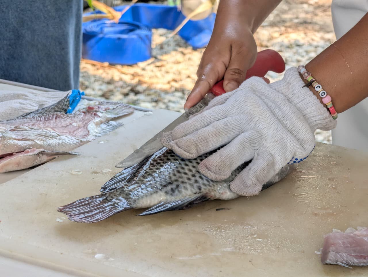 Certamen de fileteado en Tabasco premia a productor de Centro