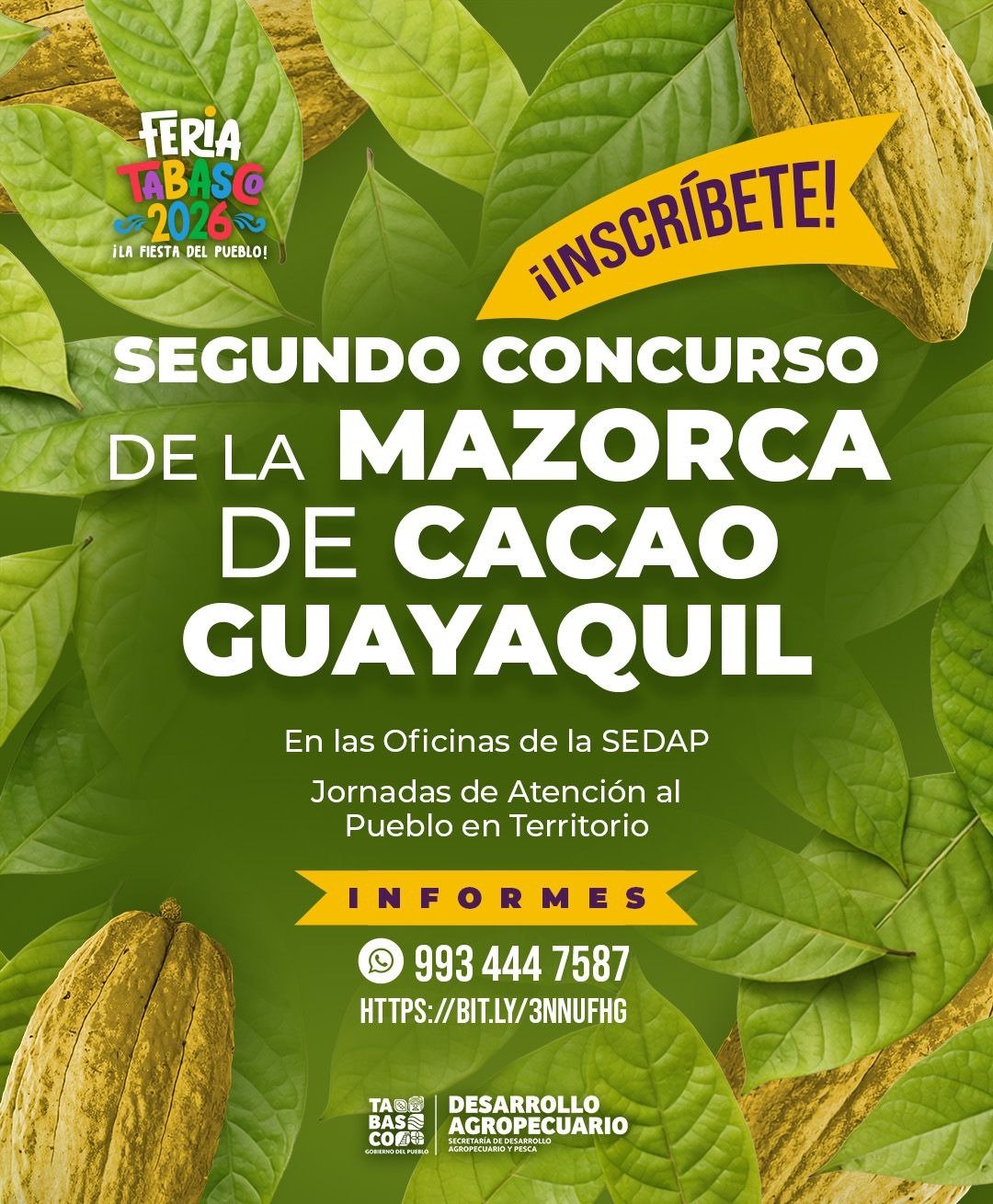 Buscan la "Mazorca de Oro": Convocan al 2do Concurso del Cacao Guayaquil
