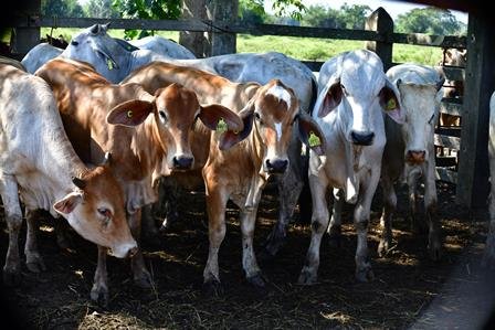 Javier May comprometido con el campo: Productores