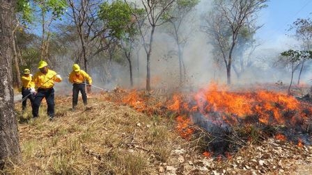 Activos, 204 incendios forestales en 24 estados, entre ellos Tabasco