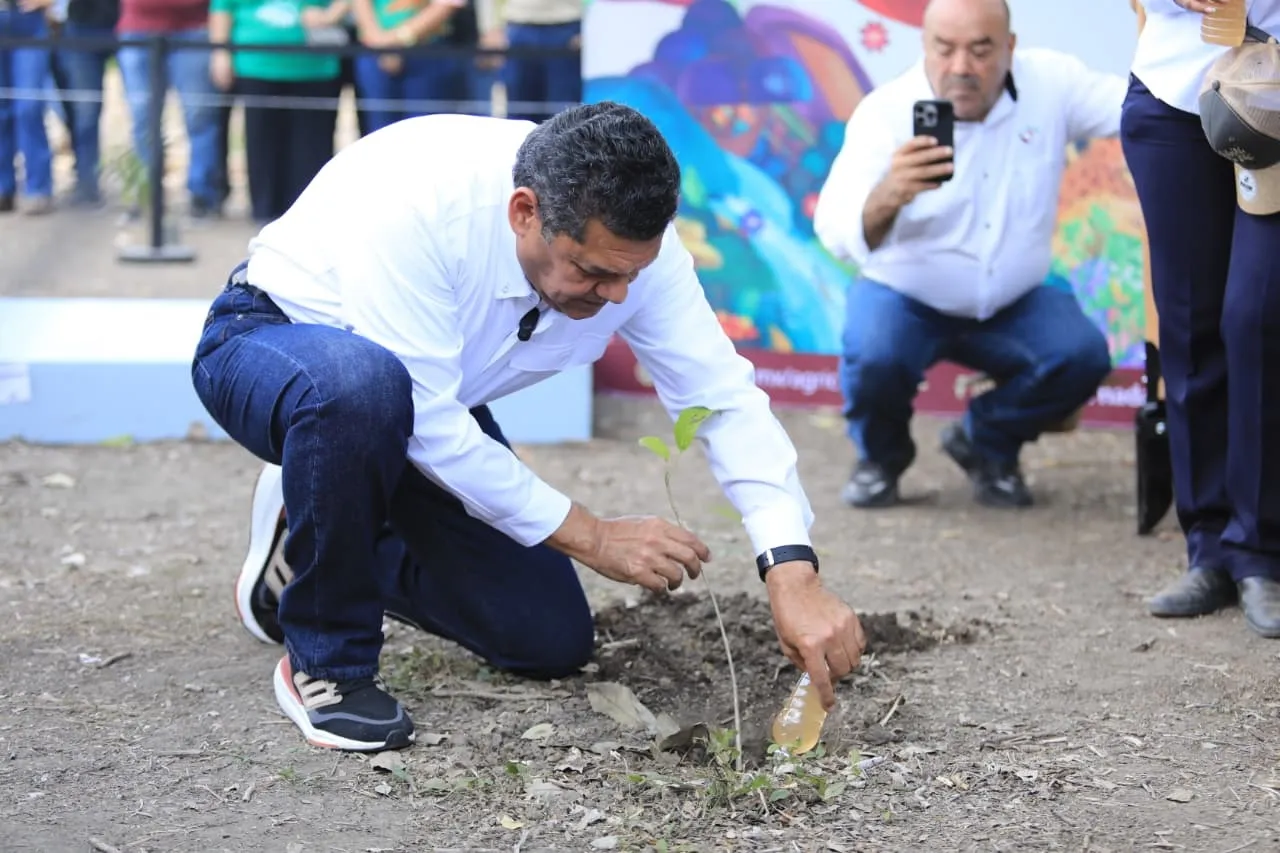 Tabasco planta árboles en 843 puntos en la jornada nacional de reforestación