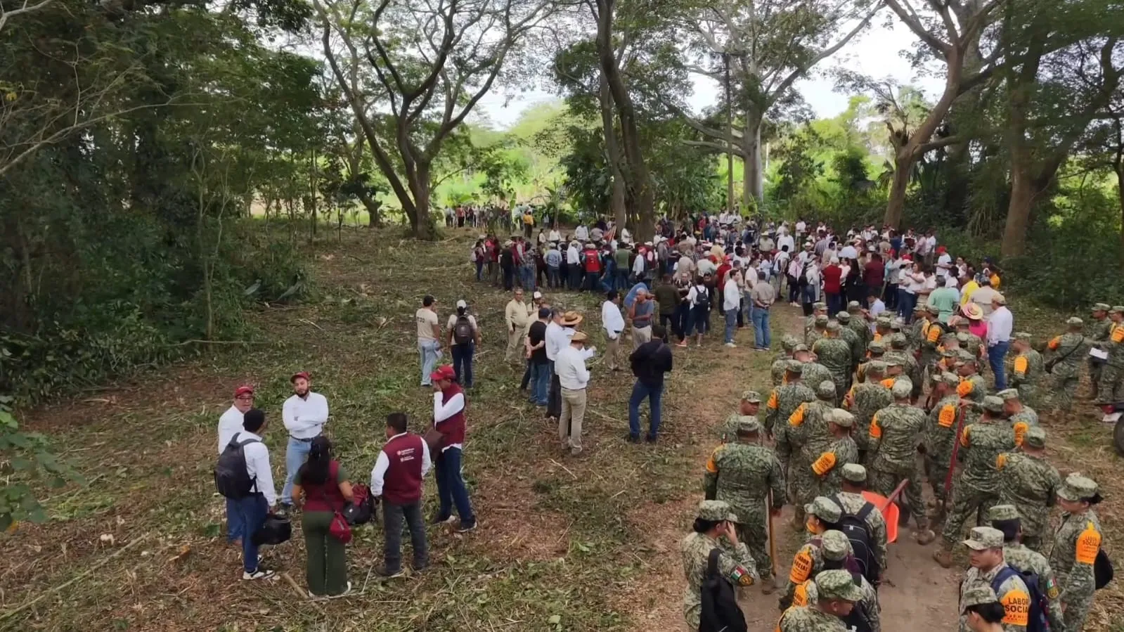 Tabasco reforesta y abraza la naturaleza