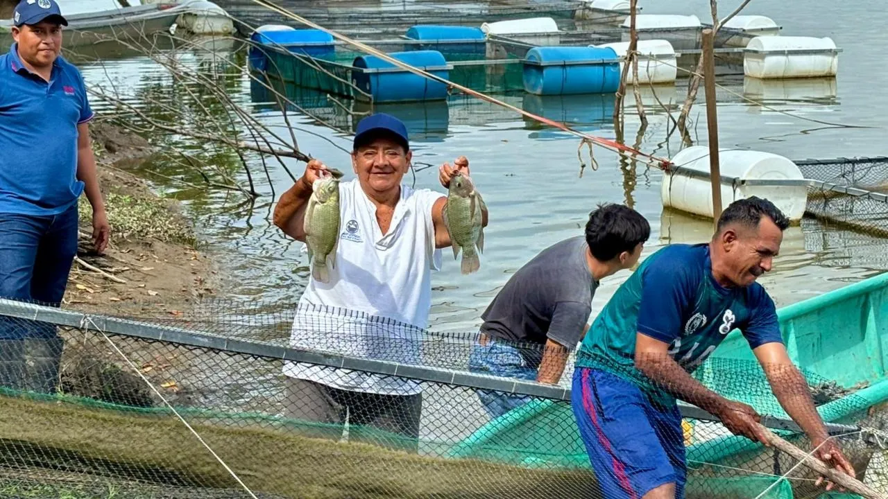 Pescando Vida sumará 500 productores acuícolas en Tabasco