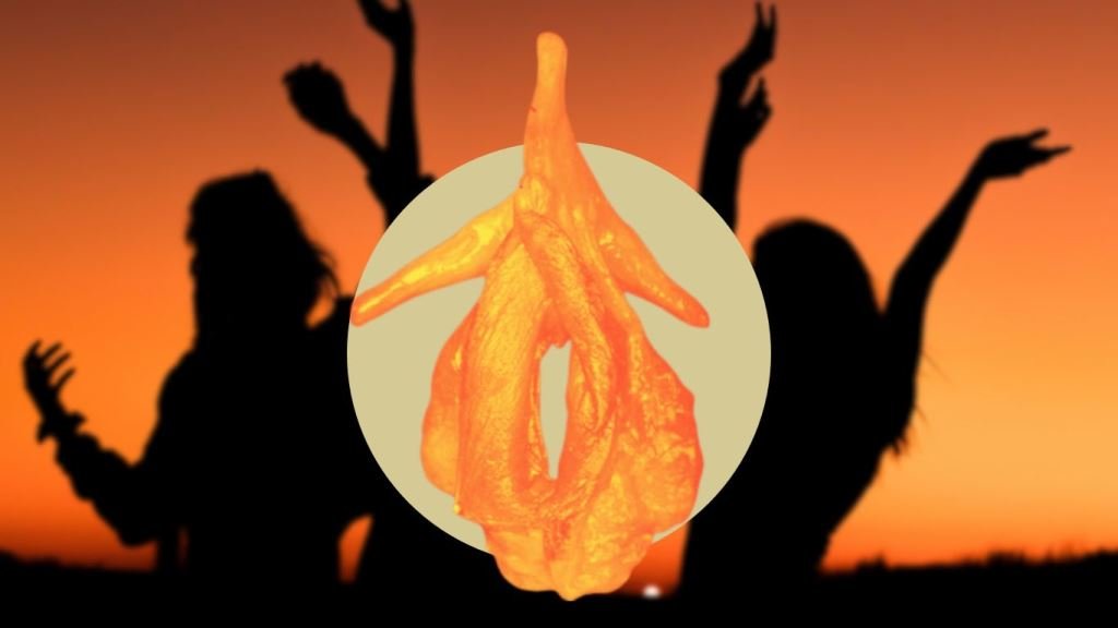 Clítoris: Radiografía del órgano para el placer