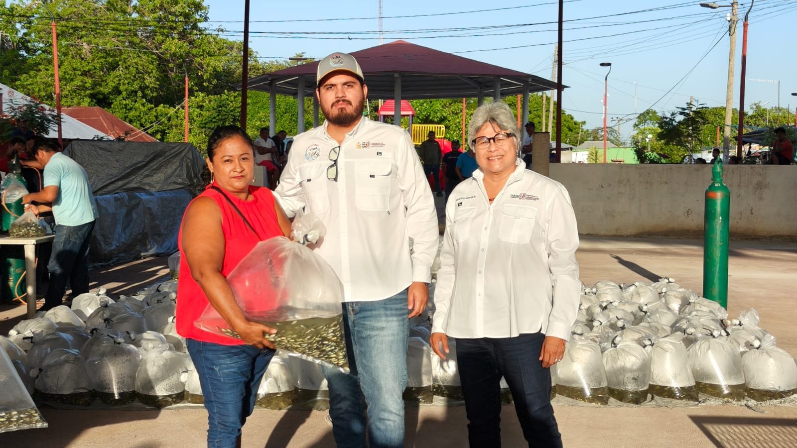 Gobierno del Pueblo impulsa acuacultura en Jonuta con programa Pescando Vida