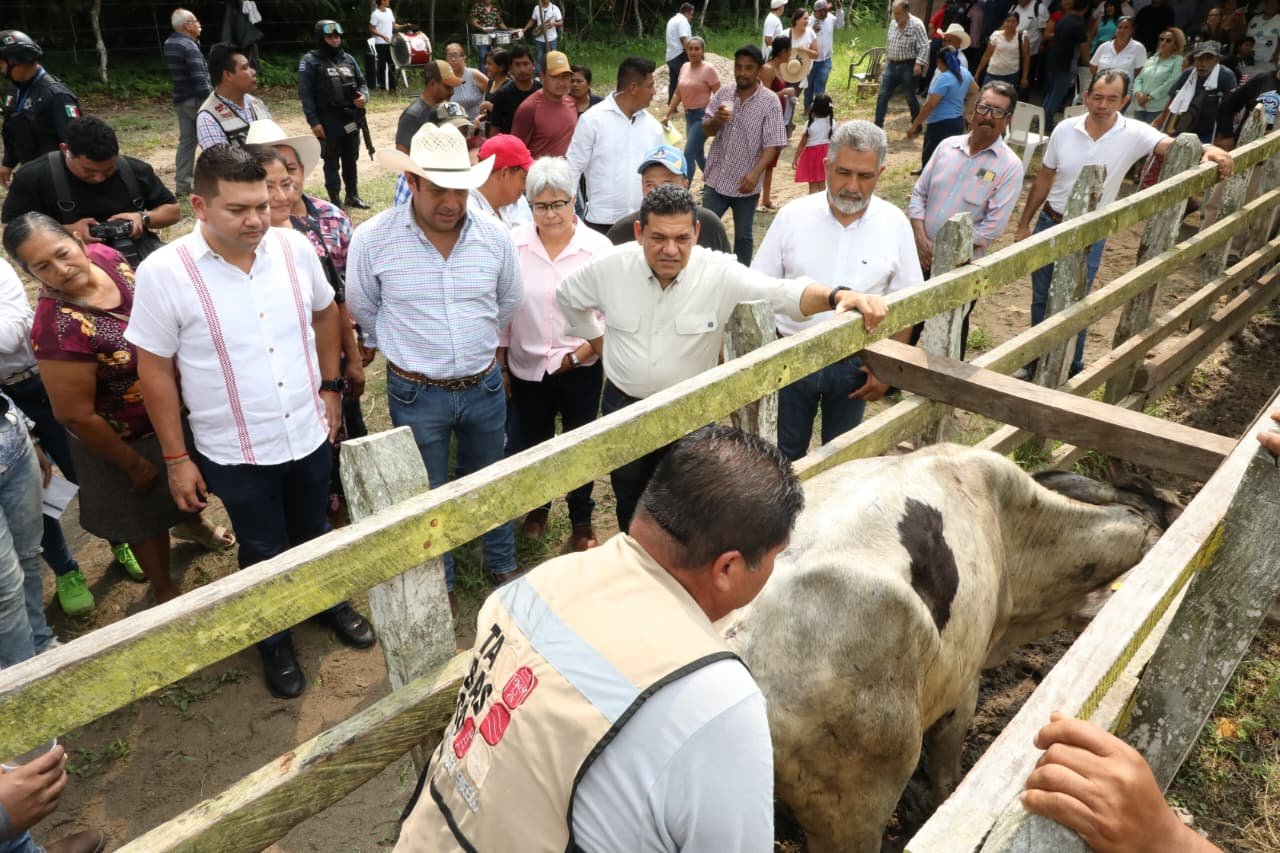 Con Crédito Ganadero a la Palabra comenzó el renacimiento del sector pecuario en Tabasco