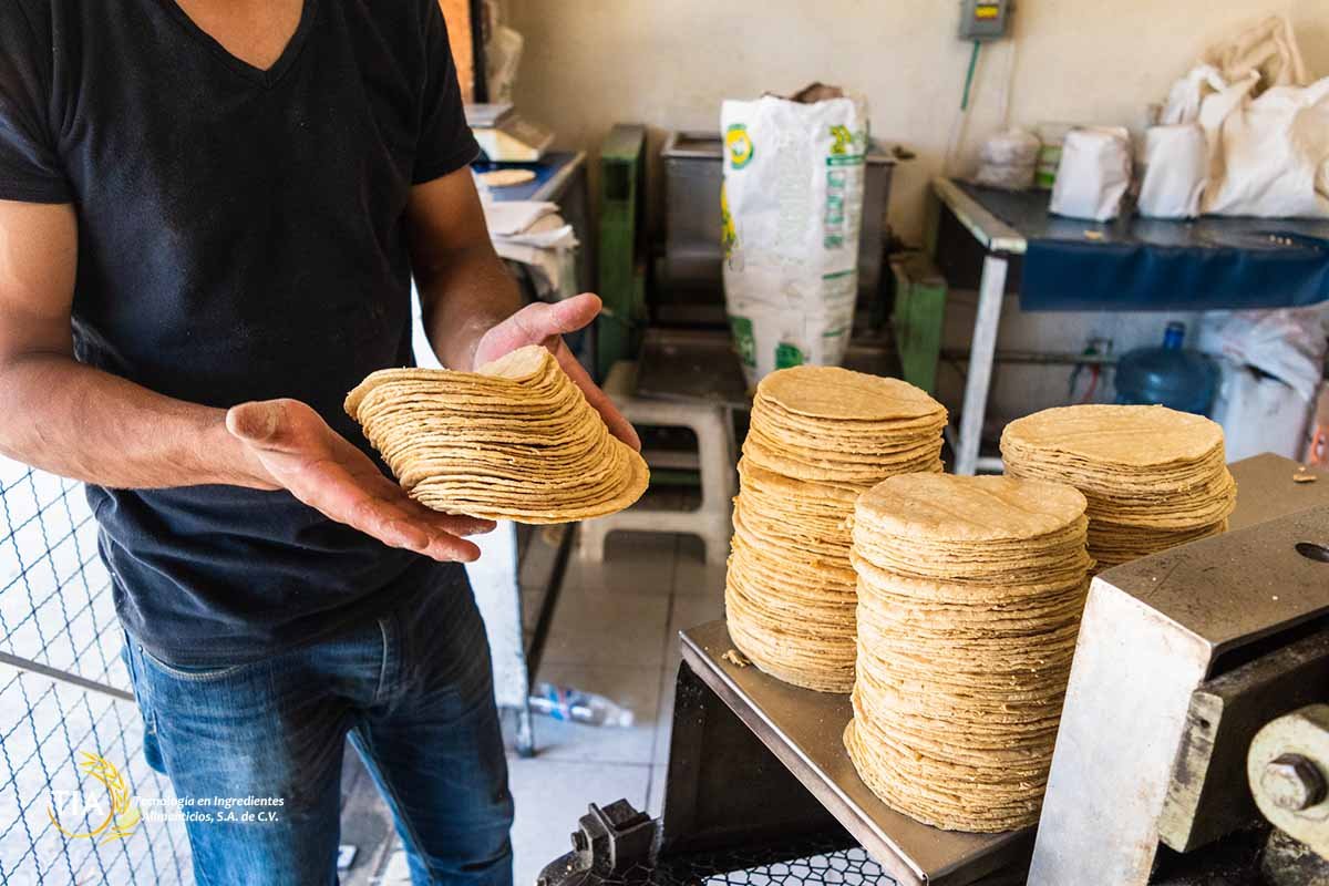 Rechaza Sheinbaum alza al precio de la tortilla; no hay ninguna razón, afirma